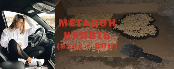 прущие грибы Алзамай