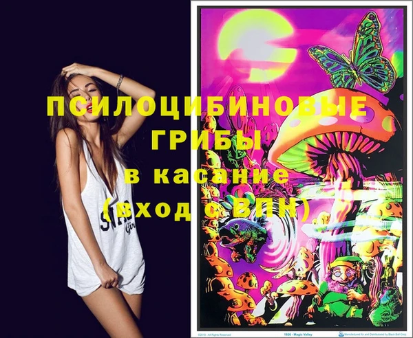 прущие грибы Алзамай