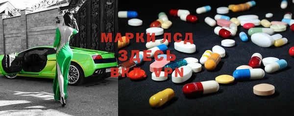 прущие грибы Алзамай