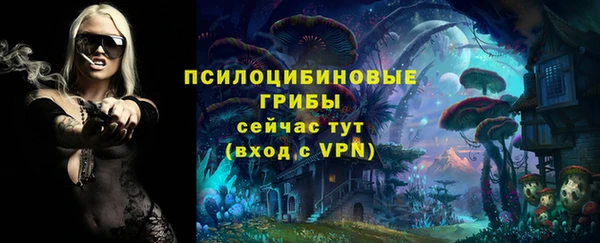 прущие грибы Алзамай