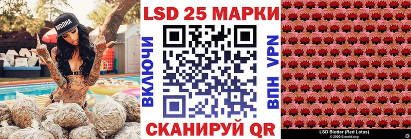 где продают   Луза  shop клад  Марки NBOMe 1,8мг 