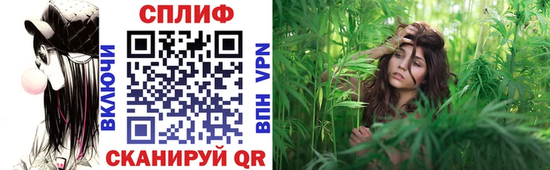 Бошки Шишки ГИДРОПОН  Луза 